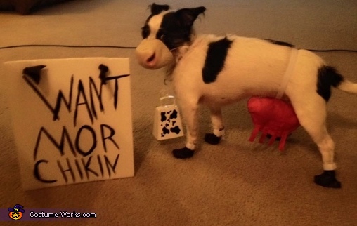 Chick Fil A Cow Costume