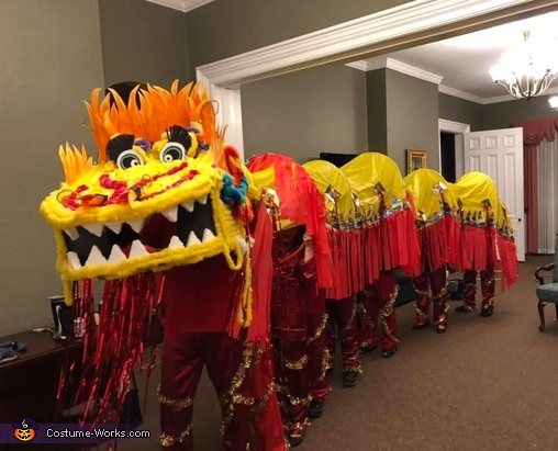 cartoon chinese dragon costume