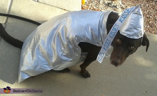 Chocolate Hershey Kiss Costume