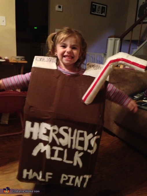Chocolate Milk Costume