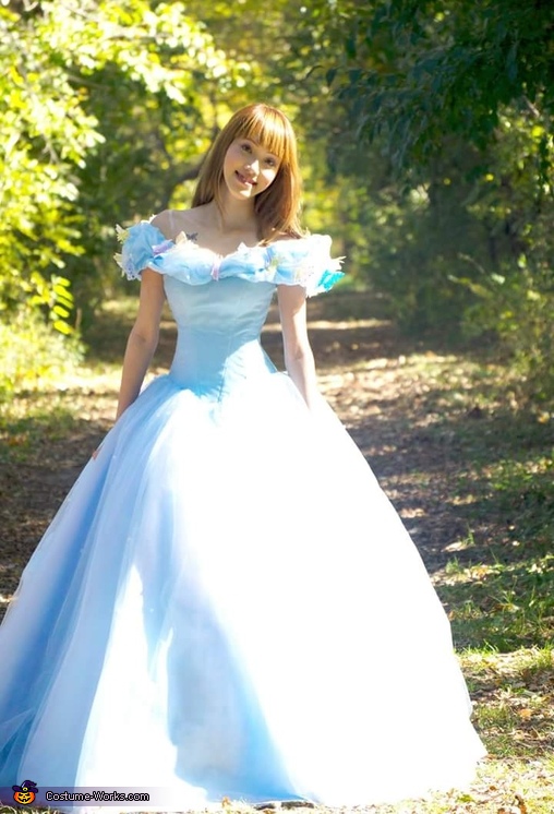 Cinderella Costume