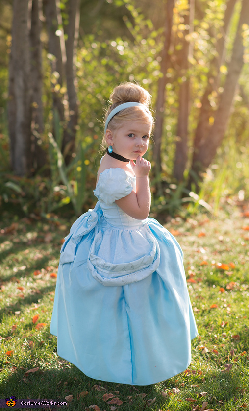 Homemade Cinderella Costume | DIY Costumes Under $45