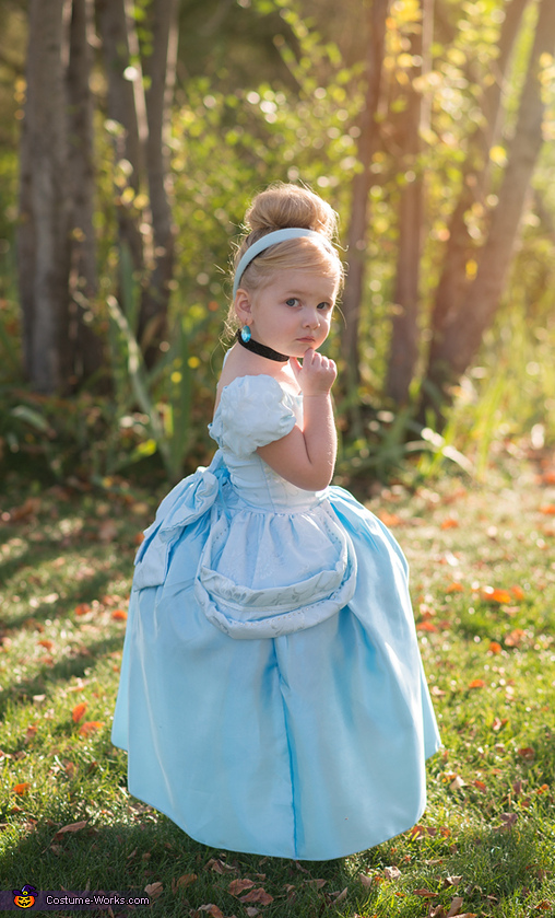 Children's best sale cinderella costume