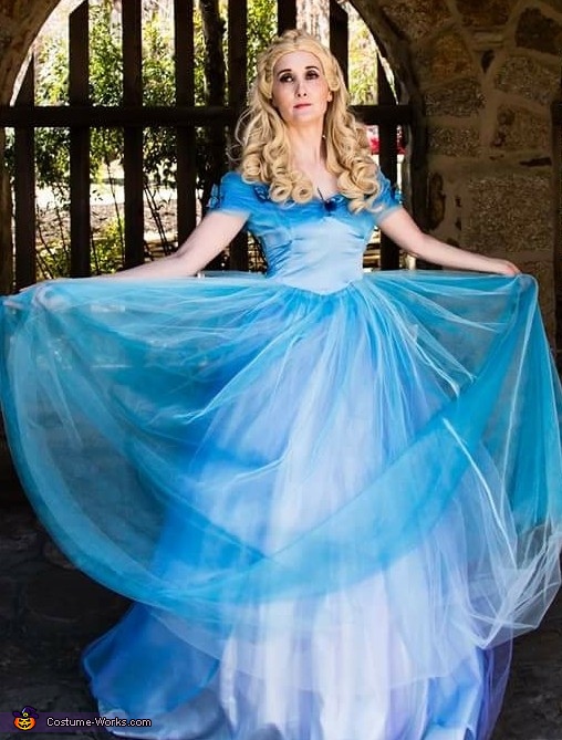 Diy Adult Cinderella Costume