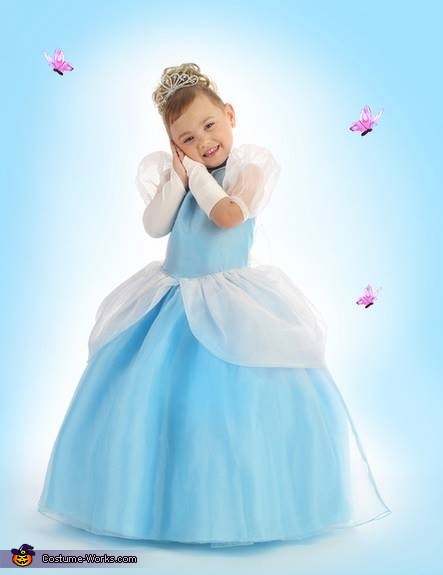 Cinderella Costume