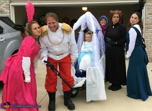 Cinderella and Family Costume