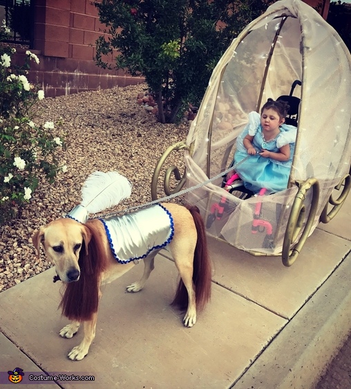 Cinderella and her Carriage Costume