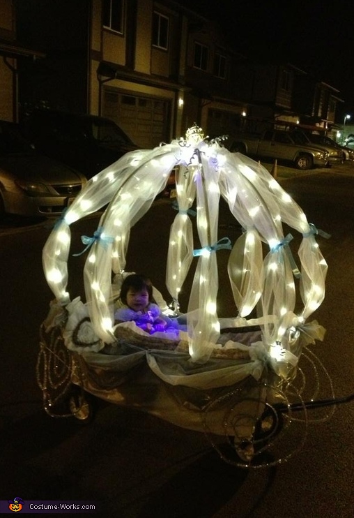 Cinderella Carriage Costume