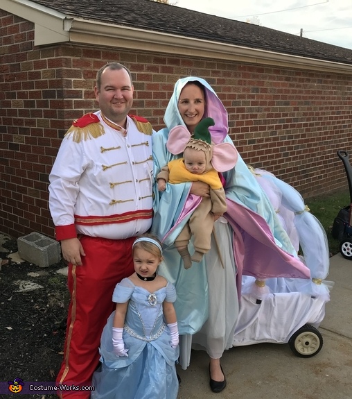 Cinderella Family Costume