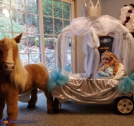 Cinderella in her Carriage Costume