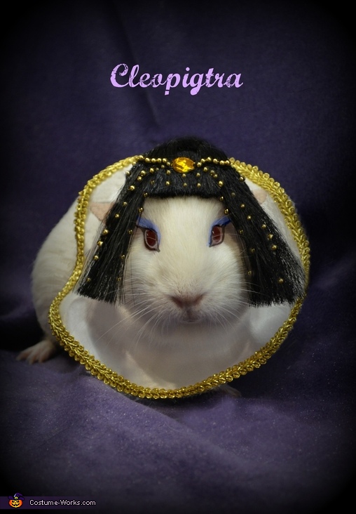 Cleopigtra Costume