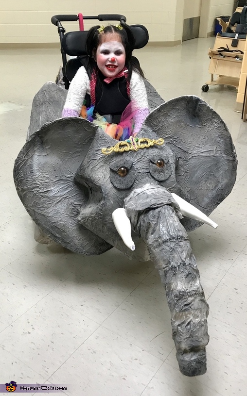 Clown and Elephant Costume