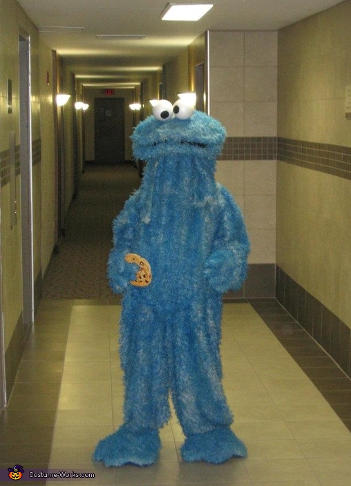 cookie monster halloween costume adults