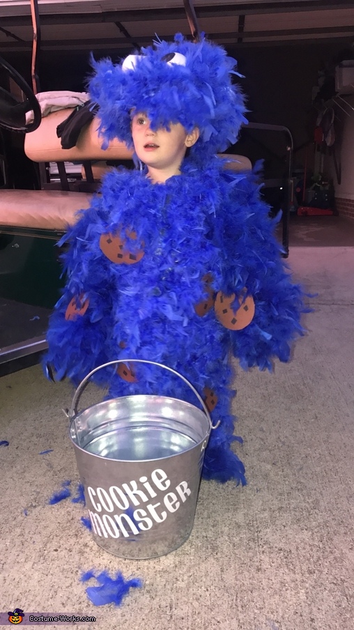 Cookie Monster Costume | DIY Costumes Under $25