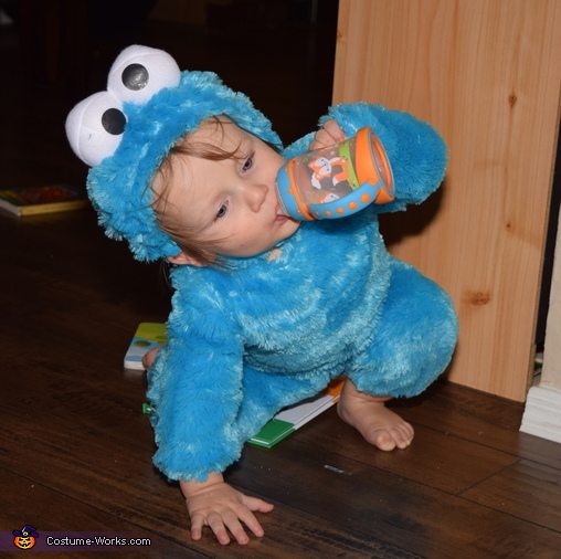 Cookie Monster Toddler Costume | Halloween Party Costumes - Photo 4/4