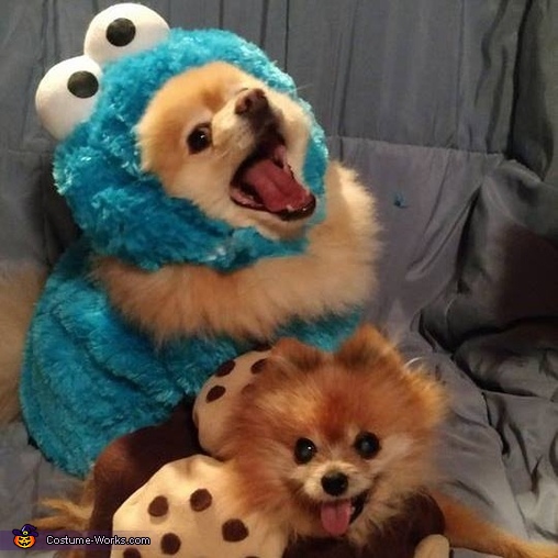Cookie Monster & Cookie Costume