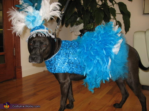 Copacabana Showgirl Dog Costume