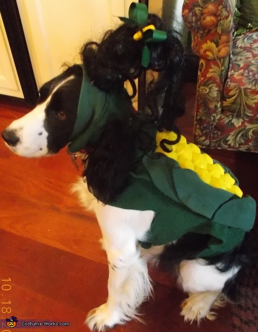 Cutest Corn Dog Halloween Costume - Ear of Corn Dog Costume DIY