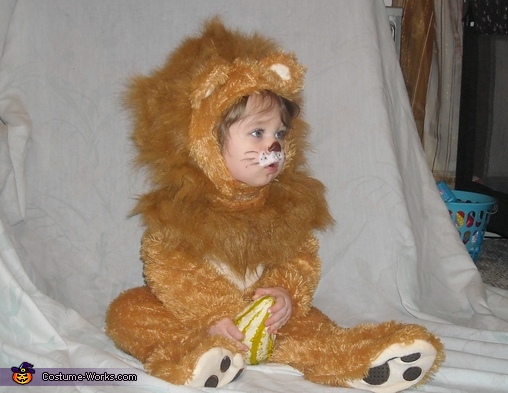 Cowardly Lion Costume
