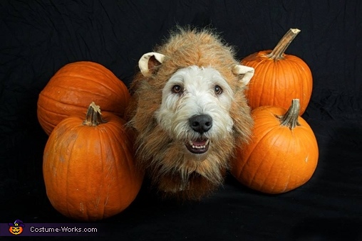 Cowardly Lion Dog Costume