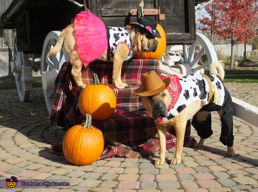 Cowboy and Cowgirl Dogs Costume