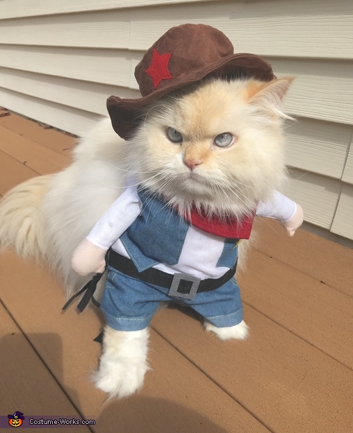 Cowboy Cat Costume | Coolest Halloween Costumes