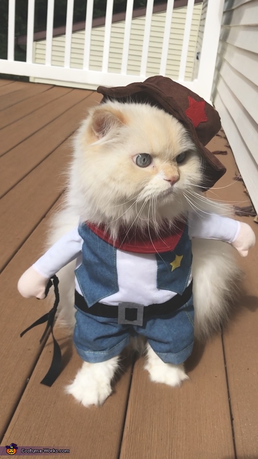 Cowboy Cat Costume | Coolest Halloween Costumes - Photo 3/4