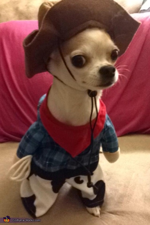 Cowboy Chihuahua Costume