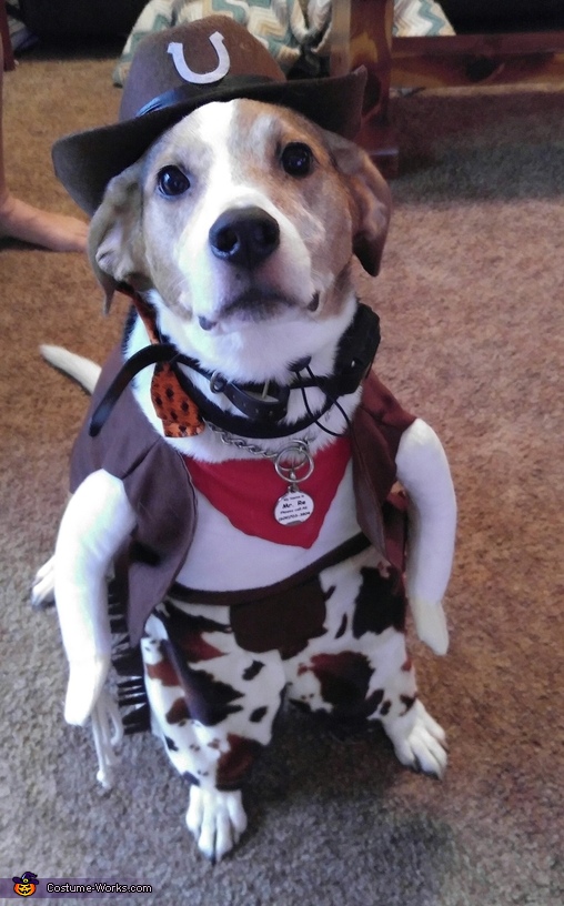 Cowboy Dog Halloween Costume Idea | Creative DIY Costumes