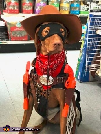 Cowboy Dog Costume