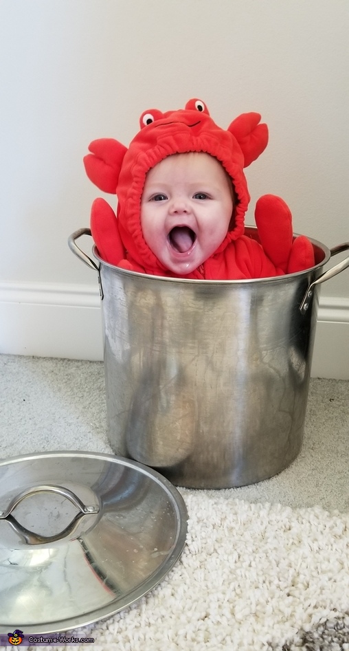 Crabby Crab Costume
