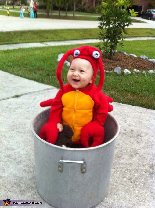 Baby hot sale crawfish costume