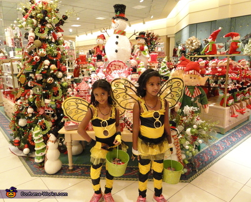 Cute Honey Bees Costume