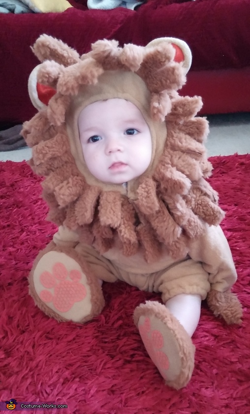 Cute Li'l Lion Costume