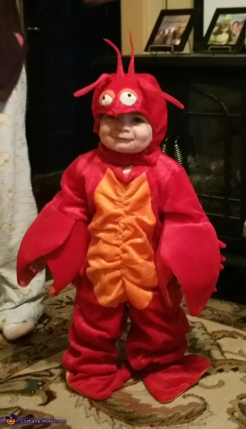 Cute Lobster Costume