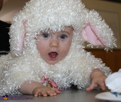 Cutest Little Lamb Costume