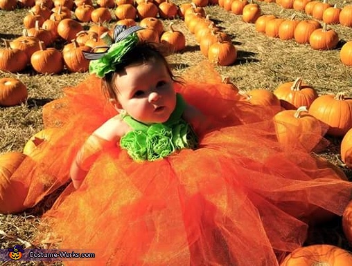Cutest Pumpkin in the Patch Costume