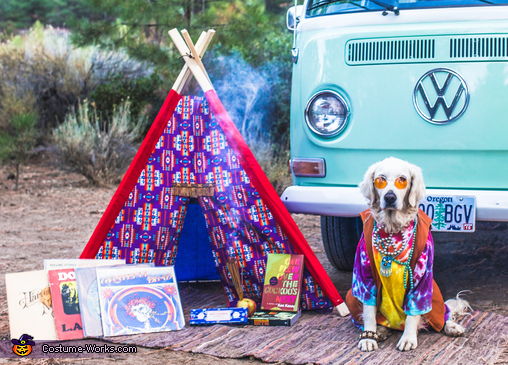 Daisy The Hippie Pup Costume