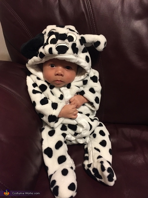 Dalmatian Puppy Dog Costume