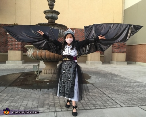 Dark Princess Costume