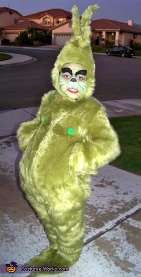 Grinch cat cheap costume