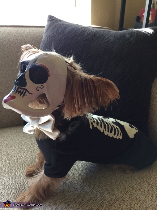 Day of the Dead Dog Costume