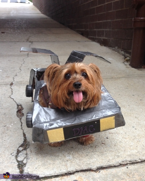 Back to the Future Delorean Costume