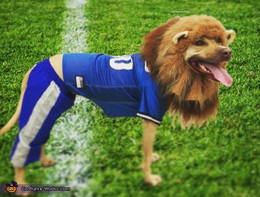 Detroit Lions Mascot Costume