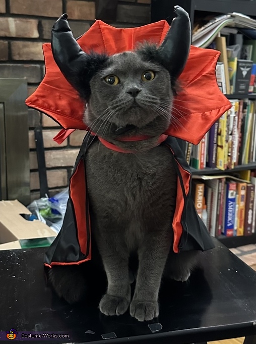 Devil in a Cat Disguise Costume