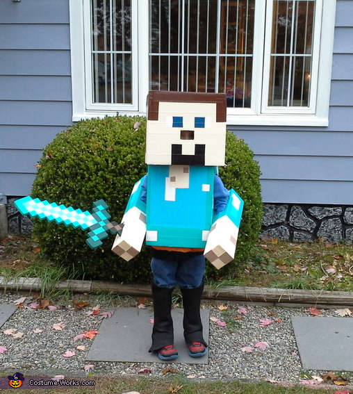 Diamond Minecraft Steve Costume
