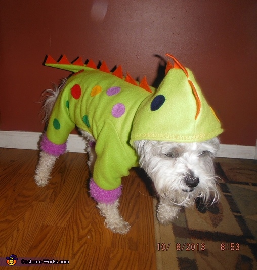 Dino Dog Costume