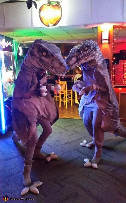 Dinosaurs Costume