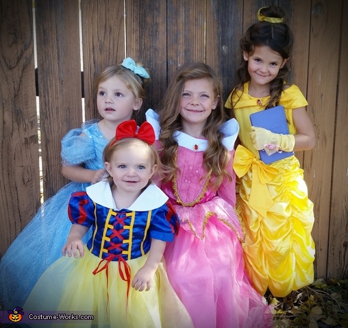 Disney Princesses Costume