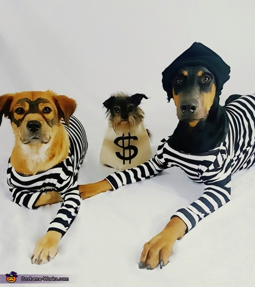 Dog Burglars Costume